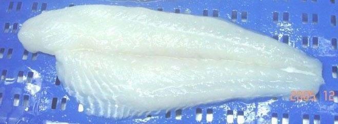 pangasius fillet